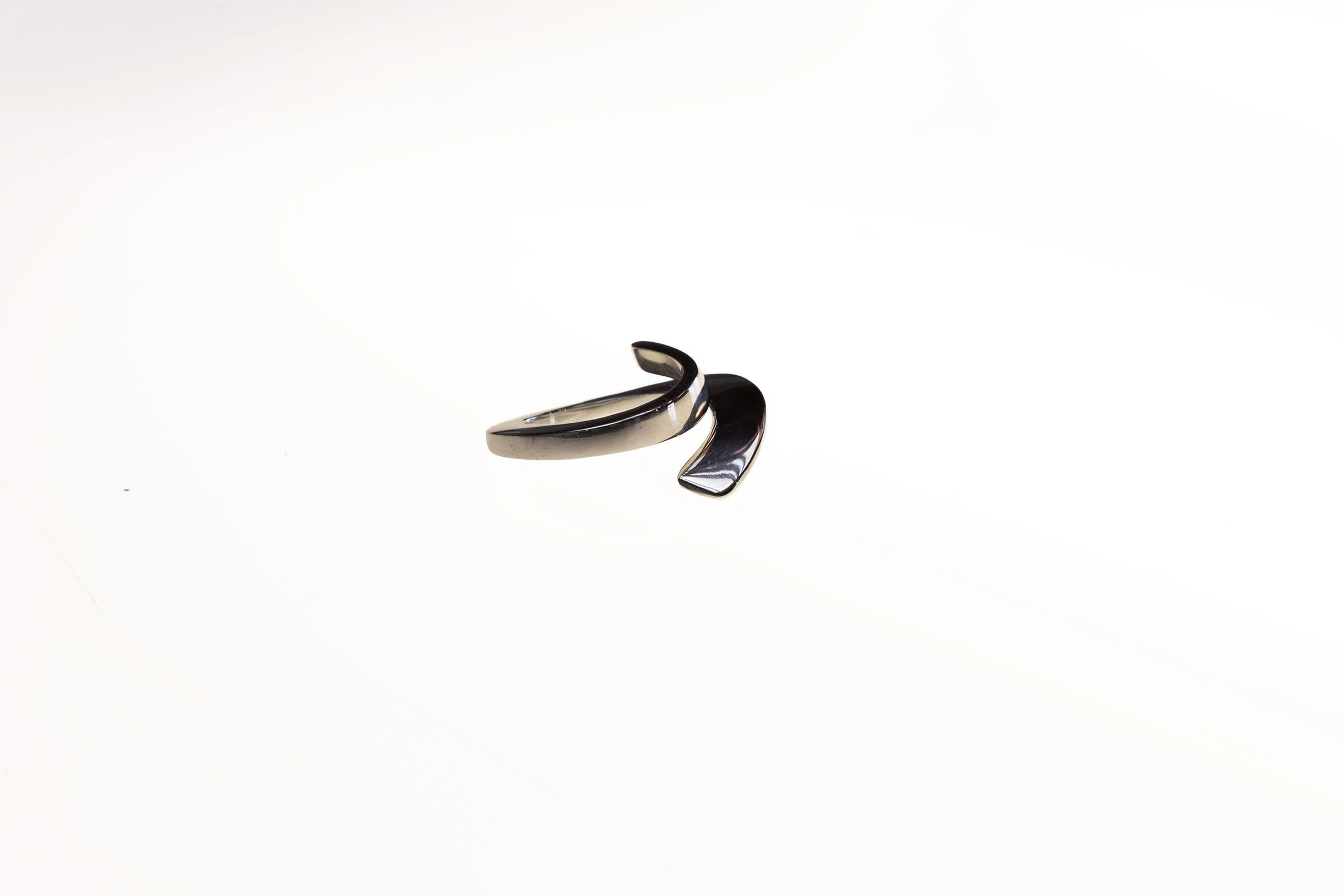 2026_asefeh-tayebani_ring-4a-lr.jpg