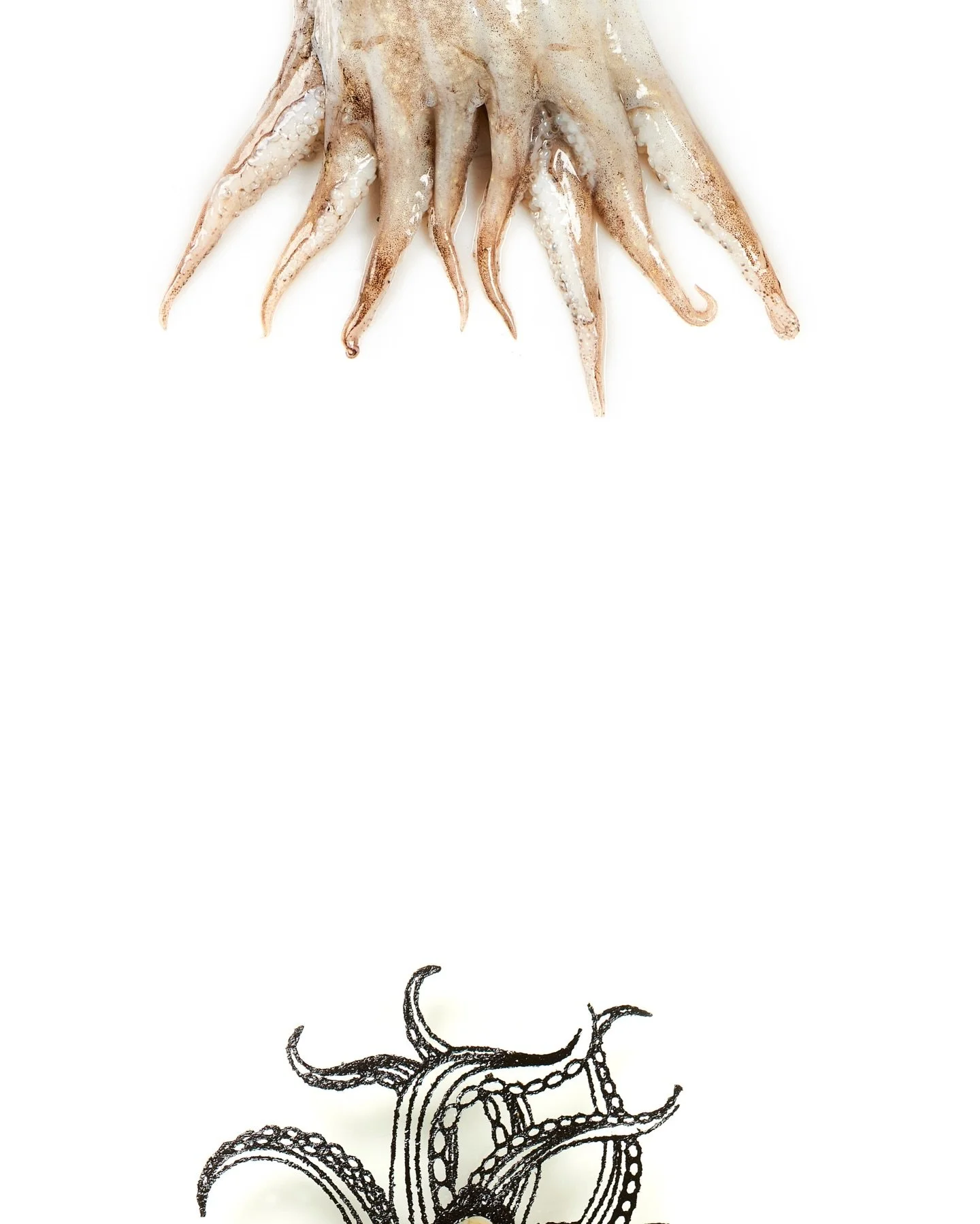 What the ocean made.
What the kitchen imagined.