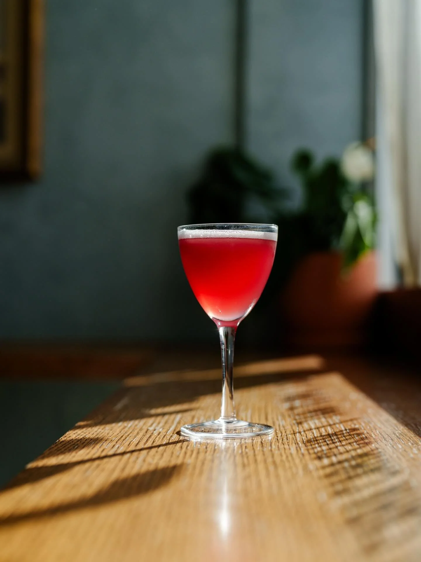 Som recent flicks for @ludlowliquors &amp; @cara.cara.club ~