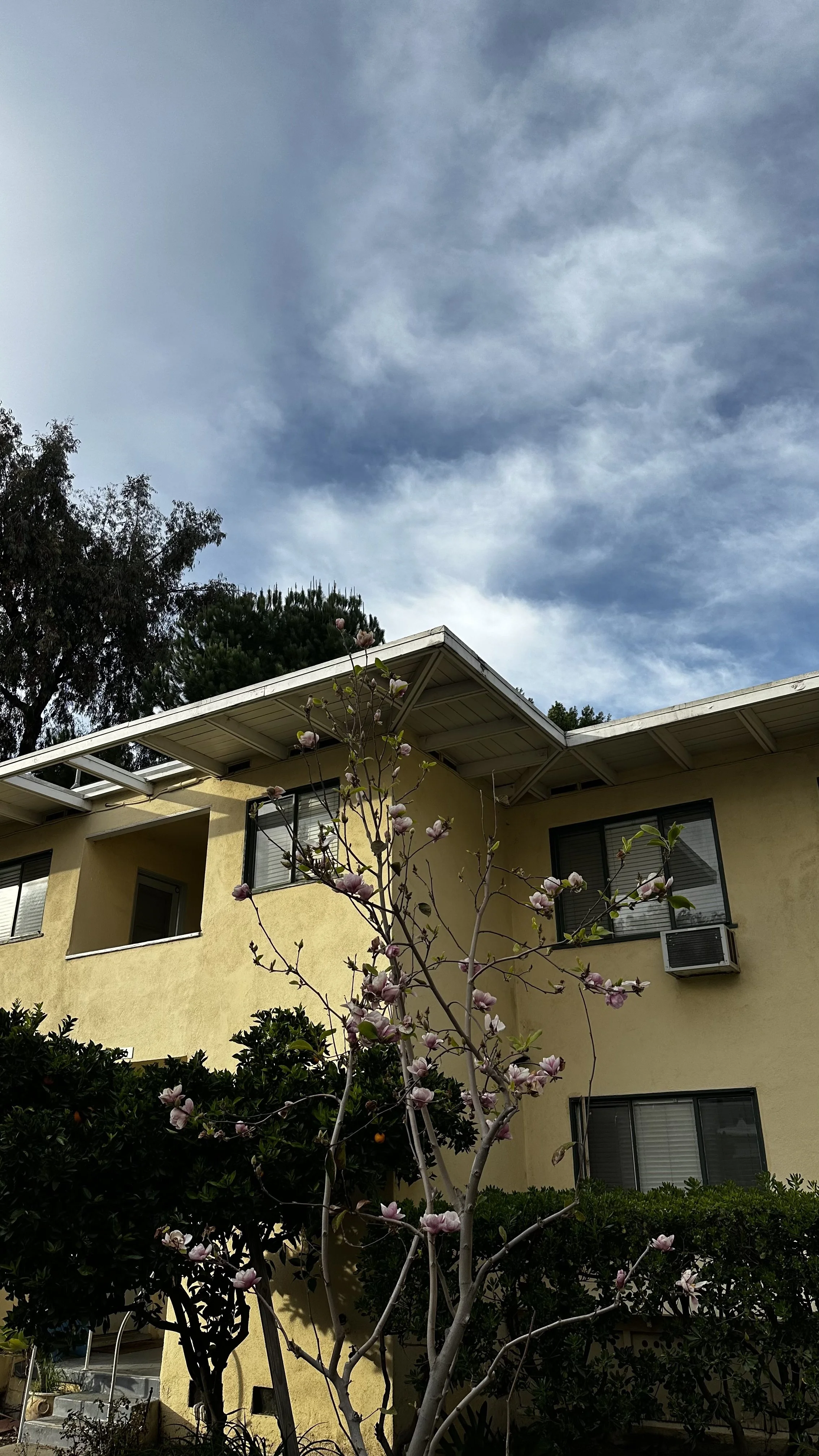 A Glimpse into the History of Chase Knolls