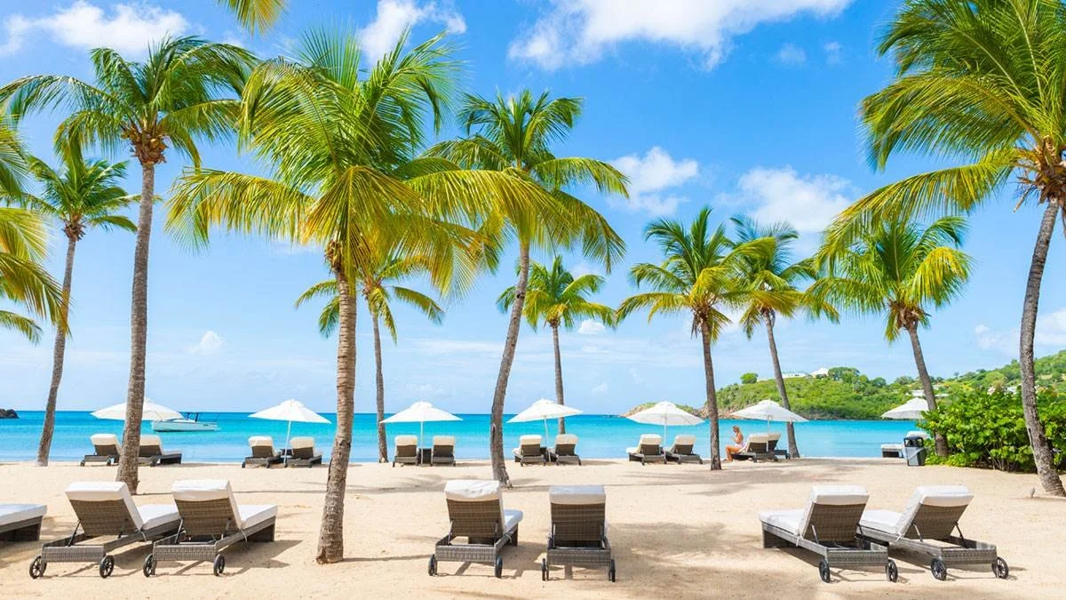 Beach scene with palm trees, white lounge chairs, umbrellas, and turquoise water under a blue sky.