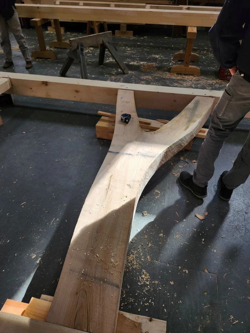 Curvy forked tree post in a scribing assembly