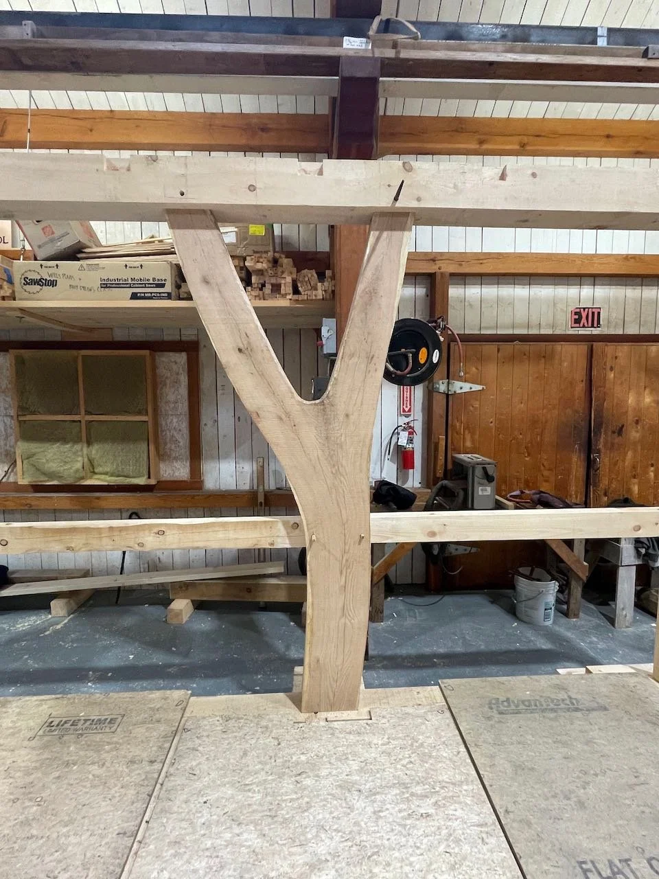 Bifurcated and curved tree post