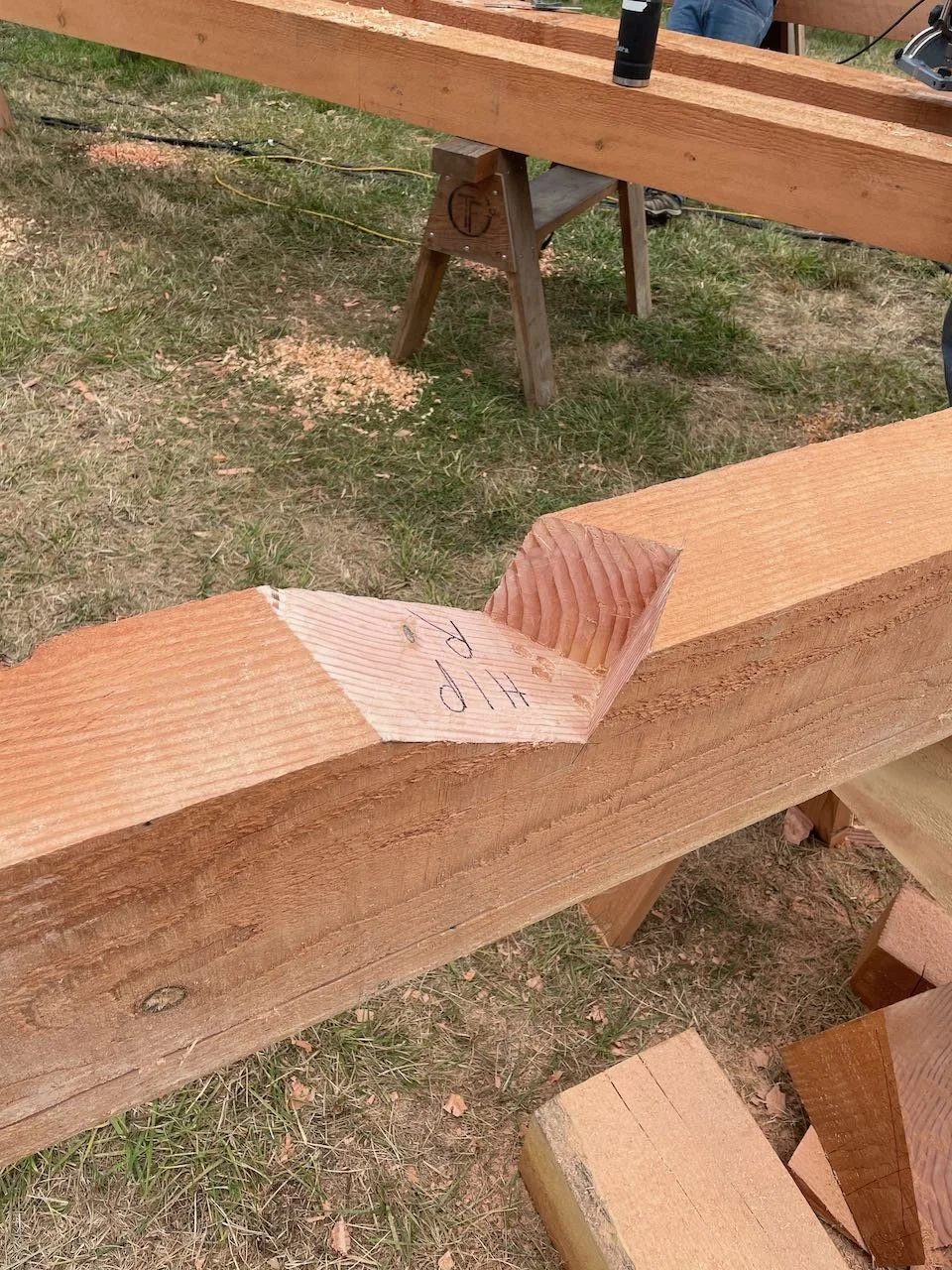Complex hip roof joinery in a timber on sawhorses