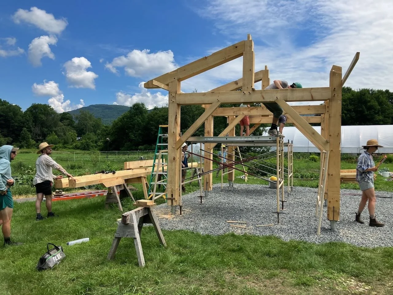 Partially raised timber frame