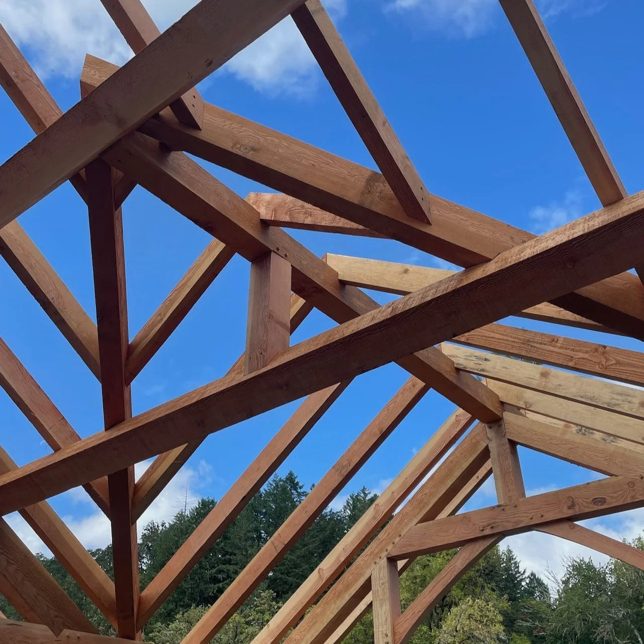 Timber valleys and purlins in pavilion roof
