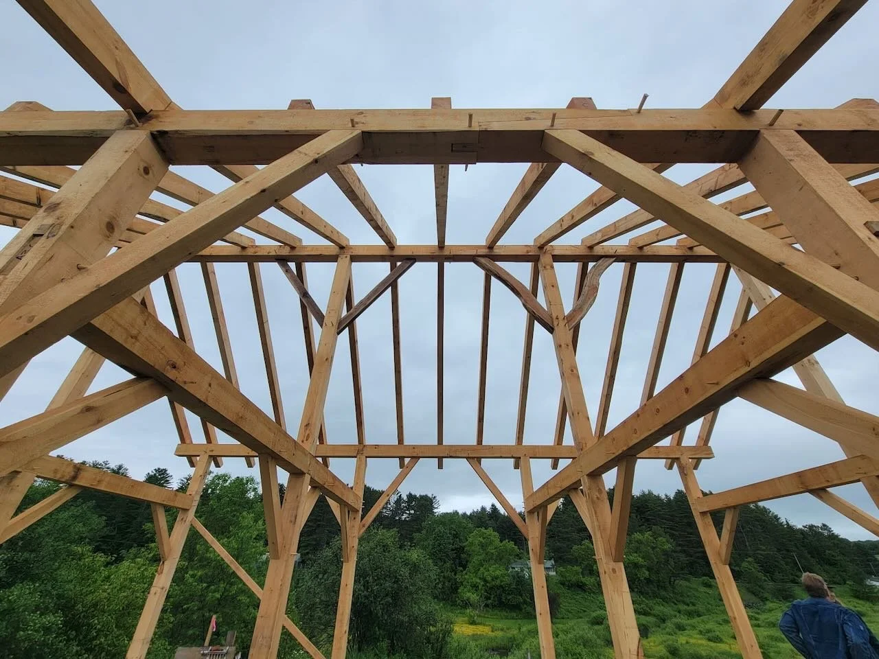 New barn timber frame standing with trees and sky in the background