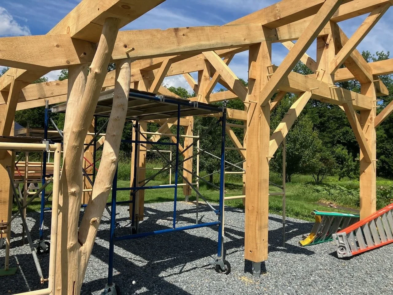 Completed timber frame standing in sunlight