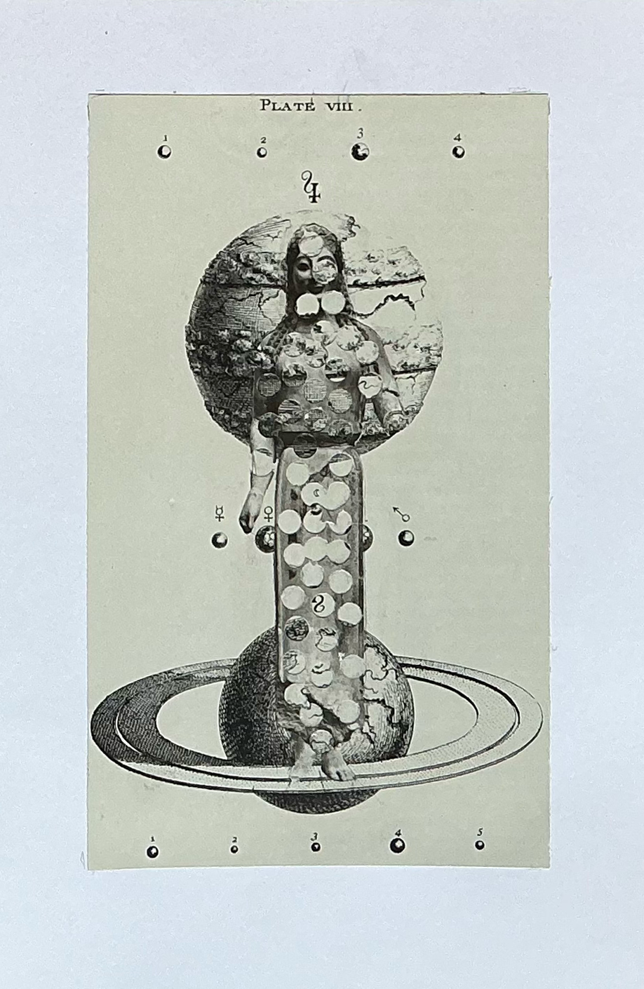 Bibliotek Plate. Collage. Paper. 1/2026. 
8 1/2 x 11".