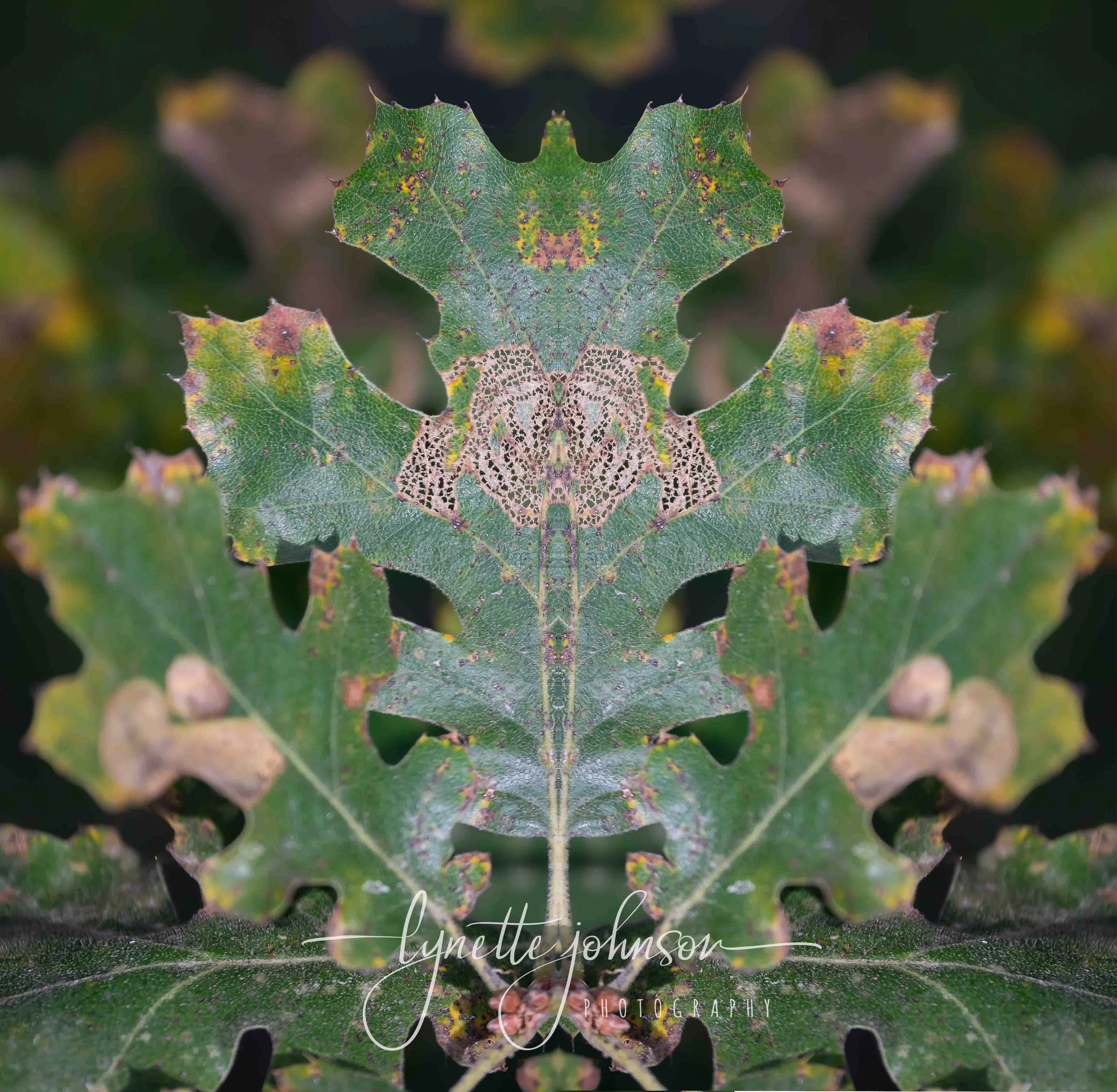 Oak Leaves Green, Mirrored