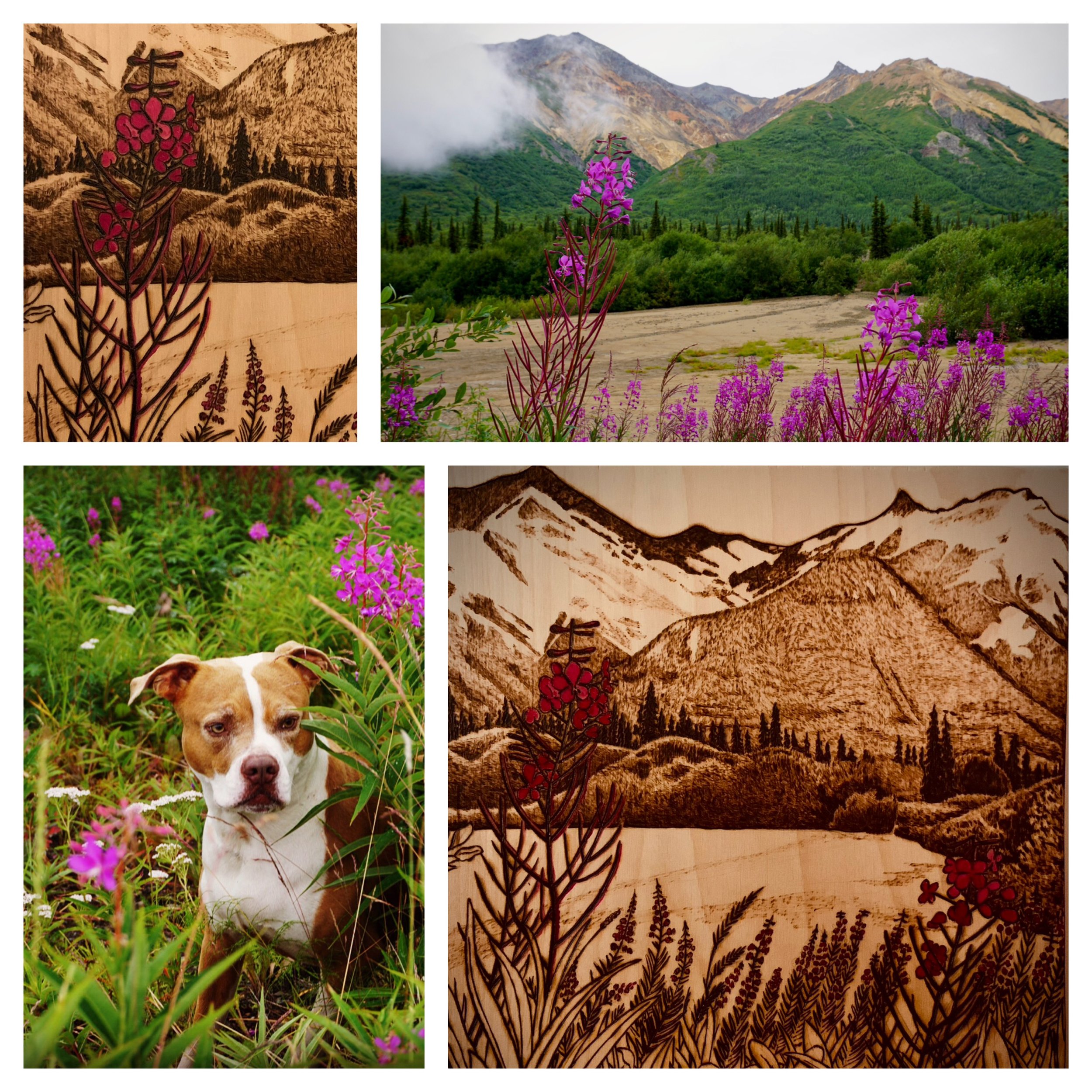 Commissioned Burnings