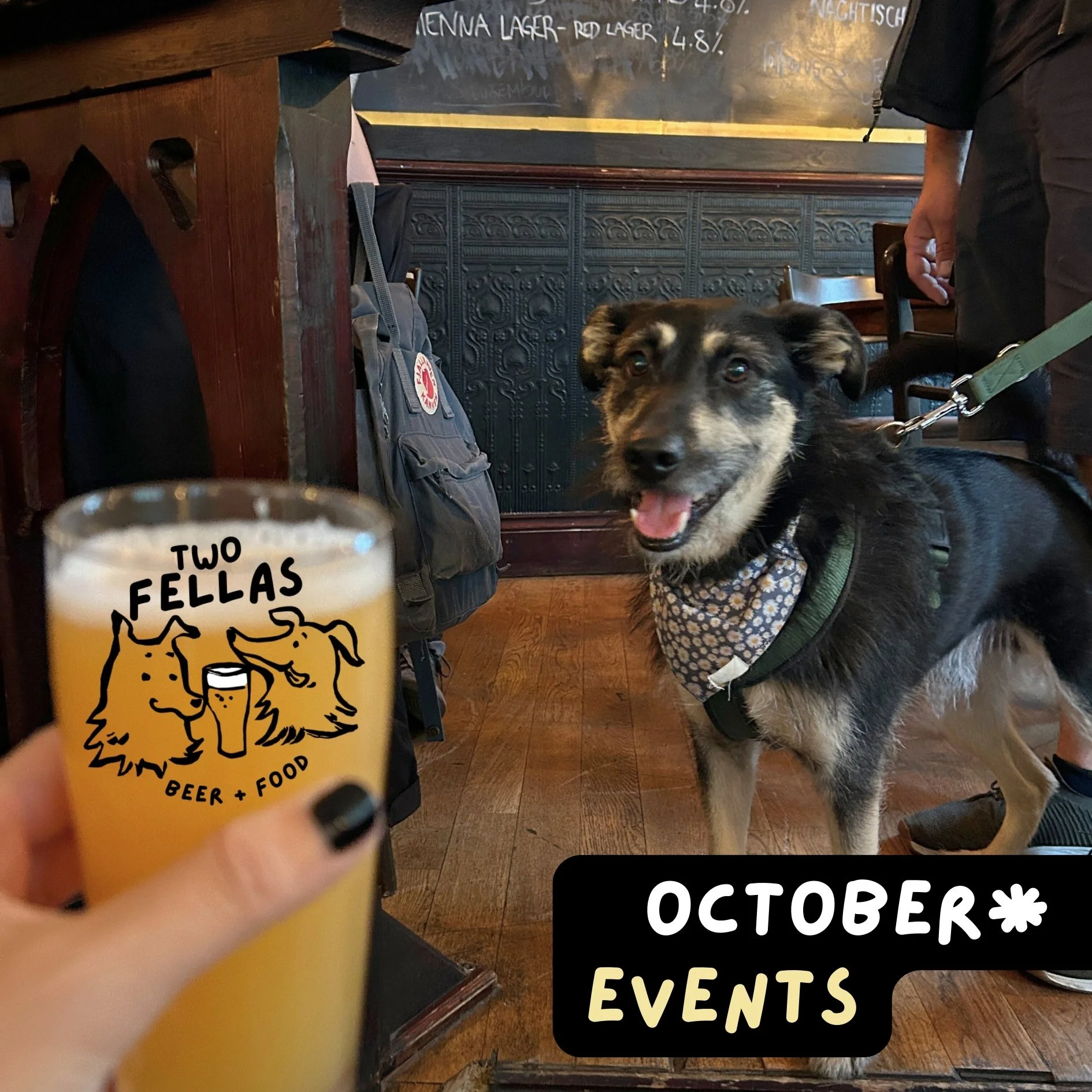 OCTOBER is here! 🎃🍻 👉 And we&rsquo;ve got a full lineup of events waiting for you:

🎤 TUESDAY 13.10 | 8PM
Stand Up Comedy (EN) &ndash; laughs &amp; beers, best combo!

🍻 FRIDAY 17.10 | 6PM
Tasting with Totenhopfen Brewery &ndash; don&rsquo;t mis