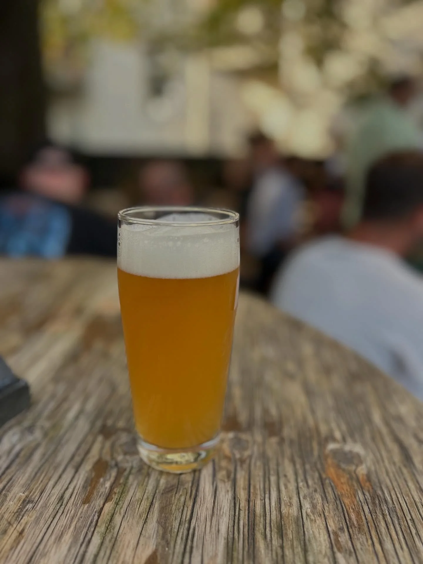 Happy langes Wochenende!!! 🎉🌸🐶

Unser Biergarten ist offiziell er&ouml;ffnet, die Sonne scheint und die Biere sind kalt 🍻

Morgen haben wir schon ab 16 Uhr ge&ouml;ffnet, damit wir noch ein bisschen mehr Biergarten-Zeit mit euch genie&szlig;en k&
