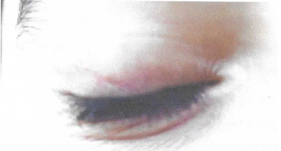 Scan.jpg