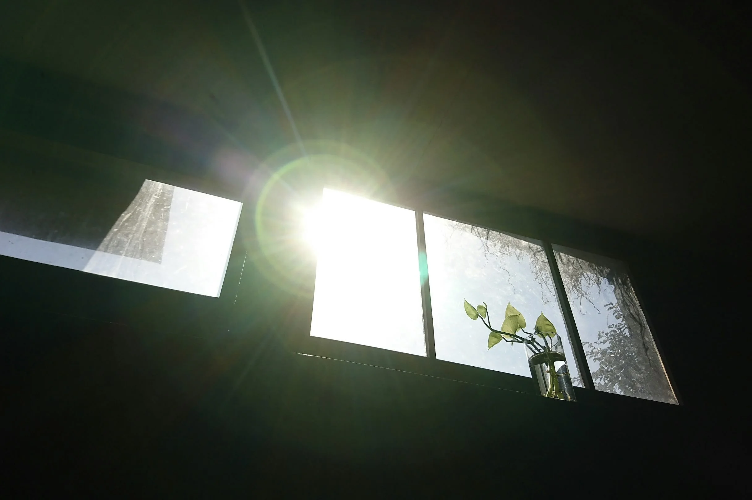 Eating Disorders and Trauma: Self-Care After Trauma for Recovery and Healing