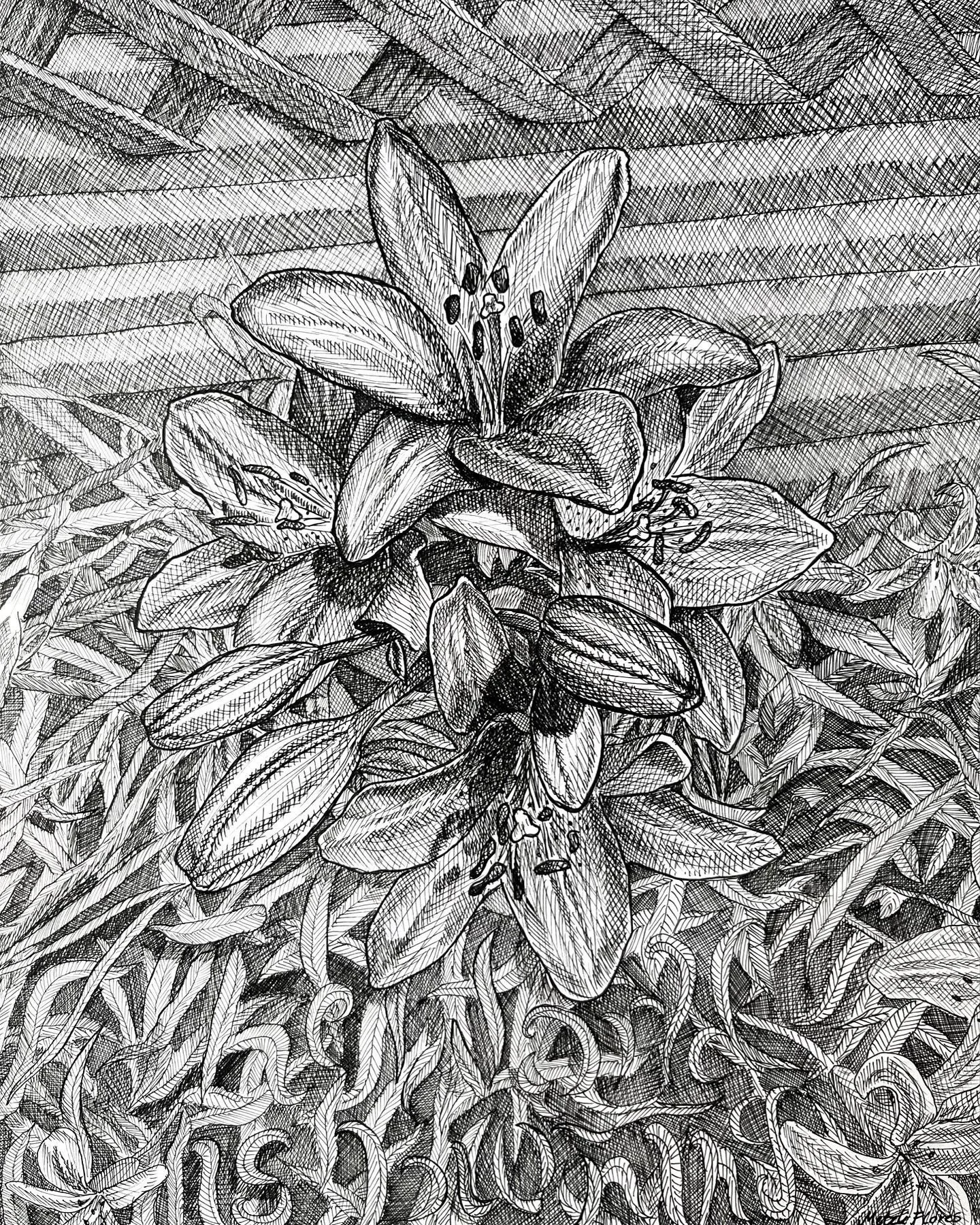 The World Is Burning, Metzli Flores, Fartingsky, Farting Sky, Artwork, Crosshatching, Chicago Artist, Up and coming artist, Metzli, metz, arte, artista