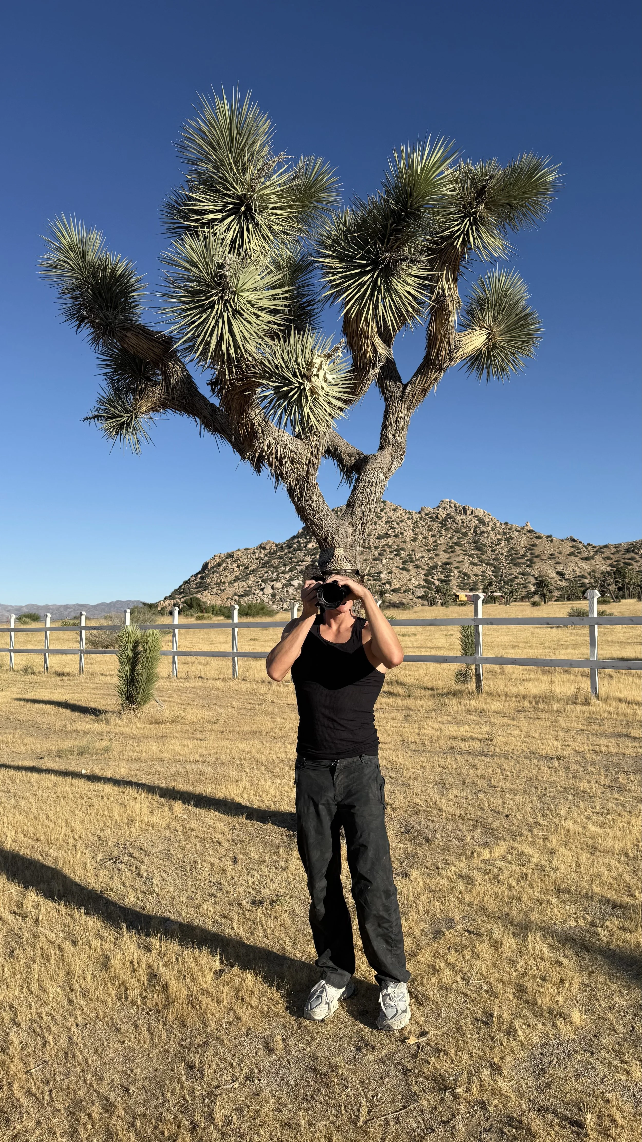 Richard wearing black clothing and gray sneakers stands in Joshua tree, holding a camera up to their face. A large desert plant with spiky leaves and a twisted trunk is behind them, with mountains and a clear blue sky in the background.