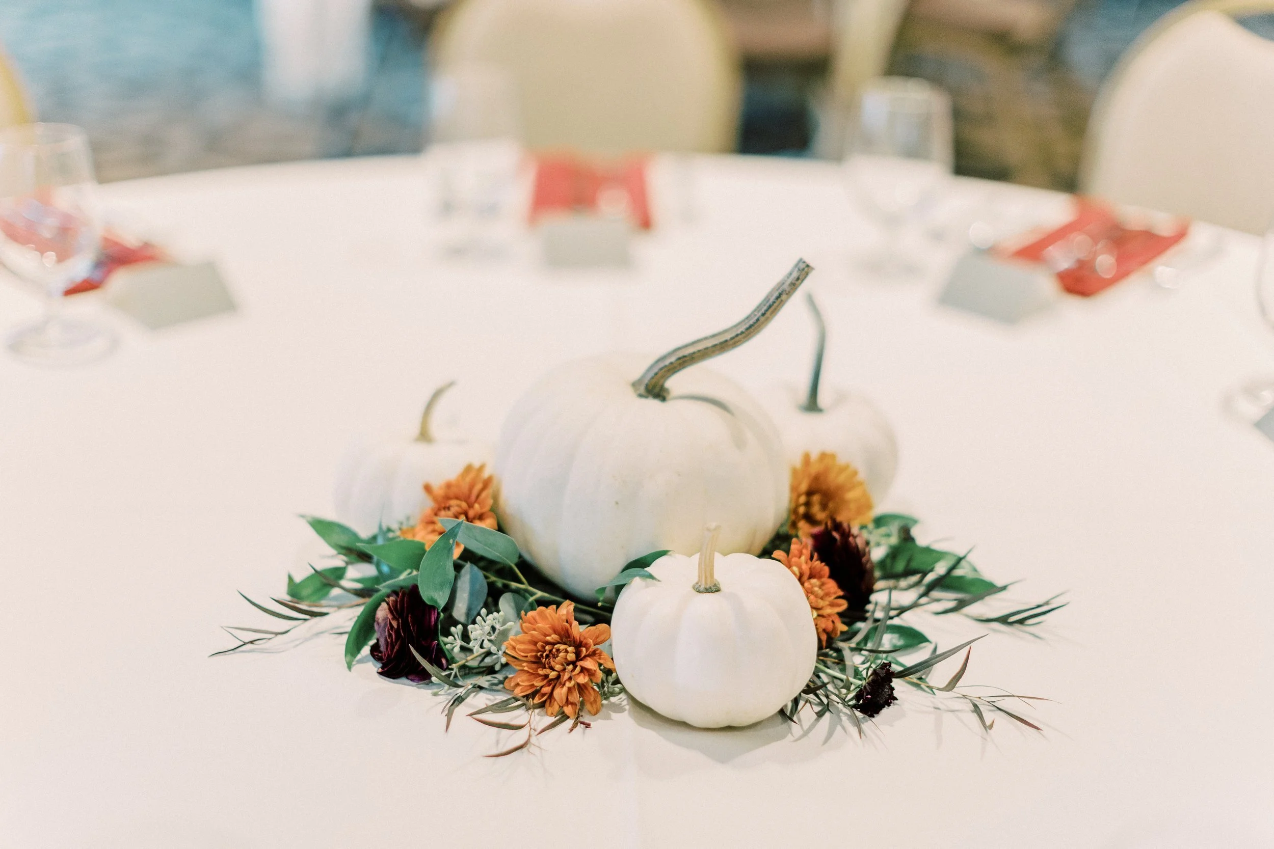 SA Favorites-337.jpg