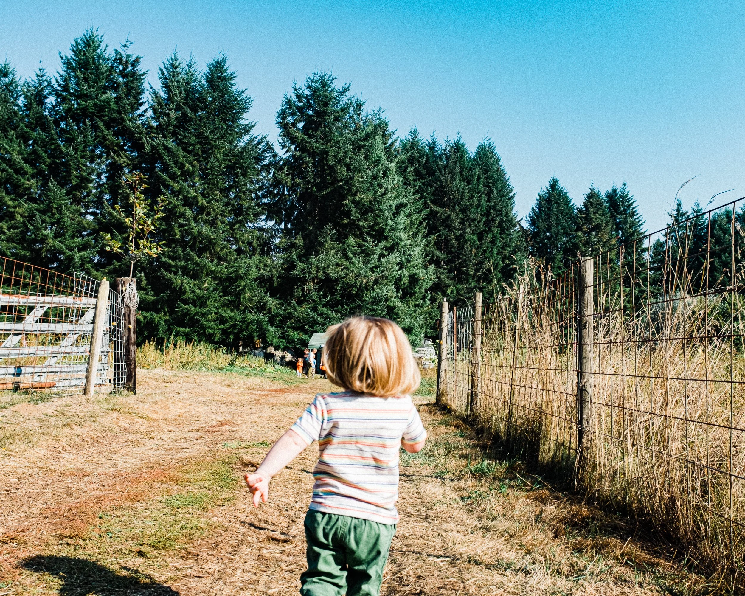 chris-daniels-creative-consulting-direction-strategy-nashville-art-potfolio-work-candid -film-photography-00083.jpg