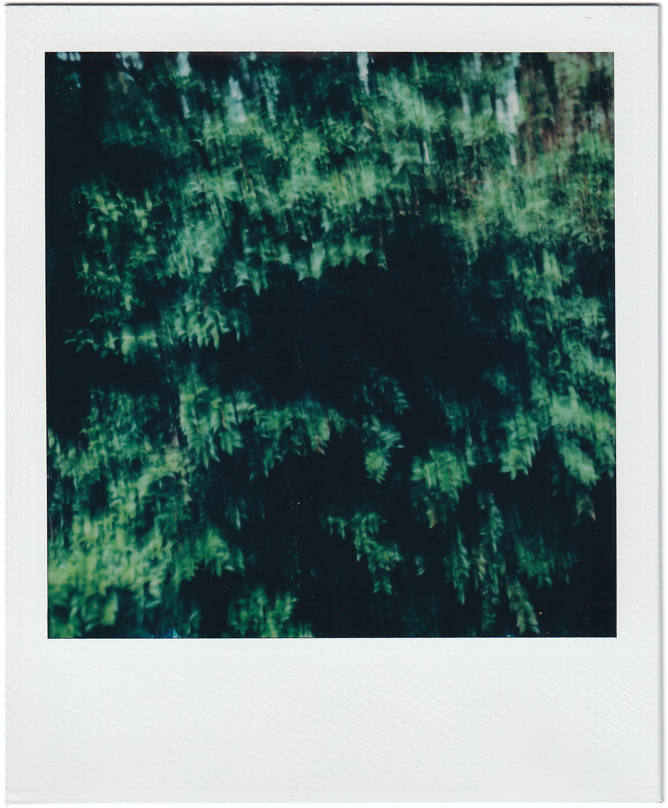 Jan-Polaroids_0012_Layer-13.png