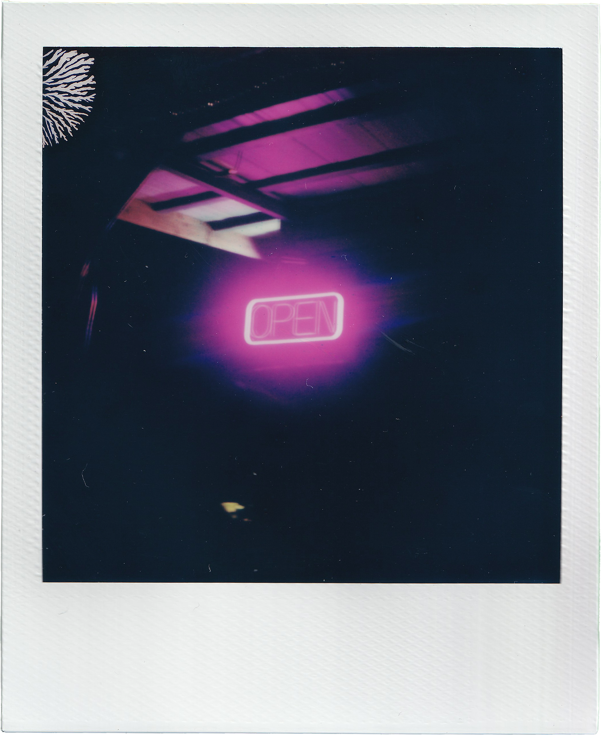 Polaroidjan-feb2024-78.png