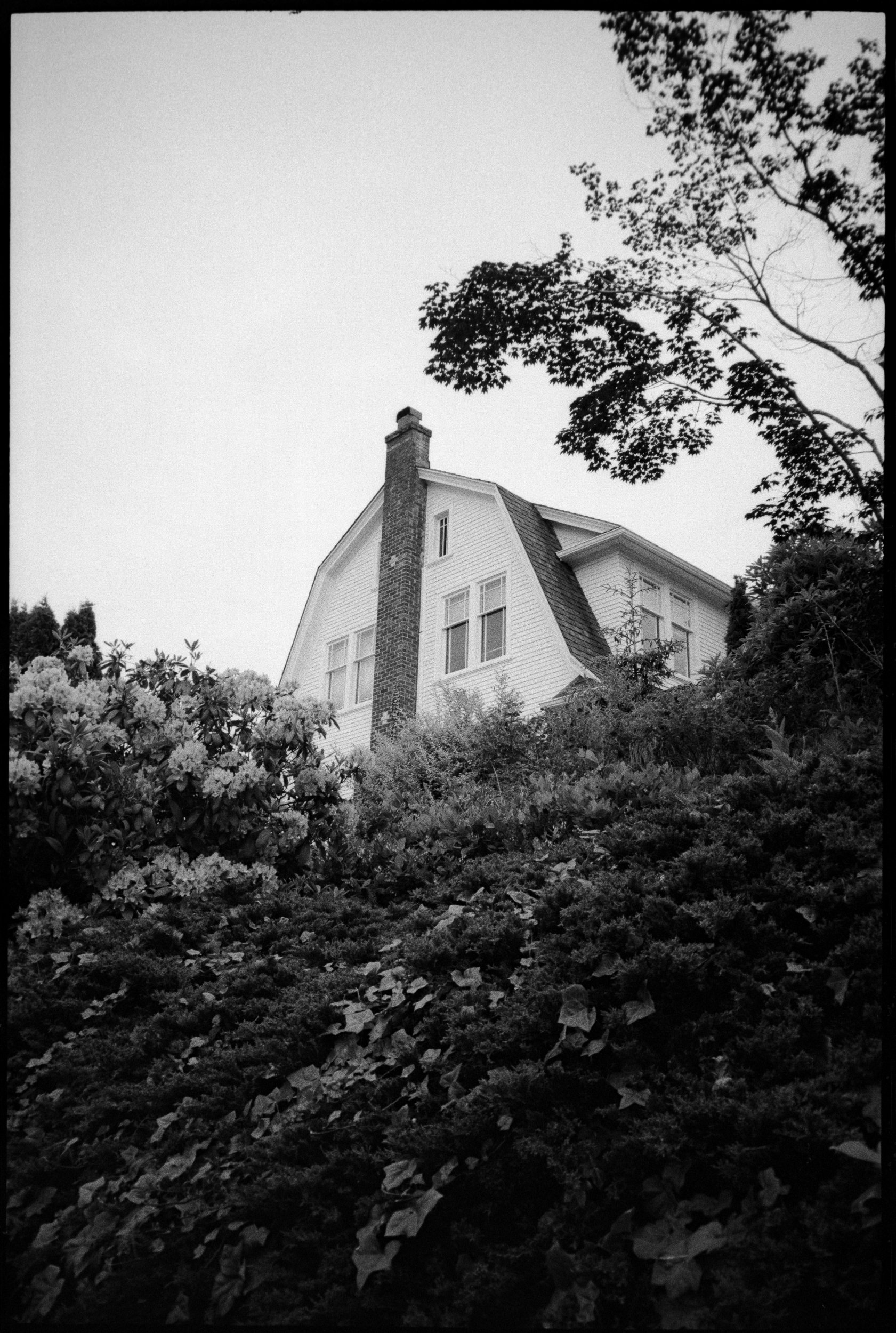 chris-daniels-creative-consulting-direction-strategy-nashville-art-potfolio-work-candid -film-photography-00080.jpg