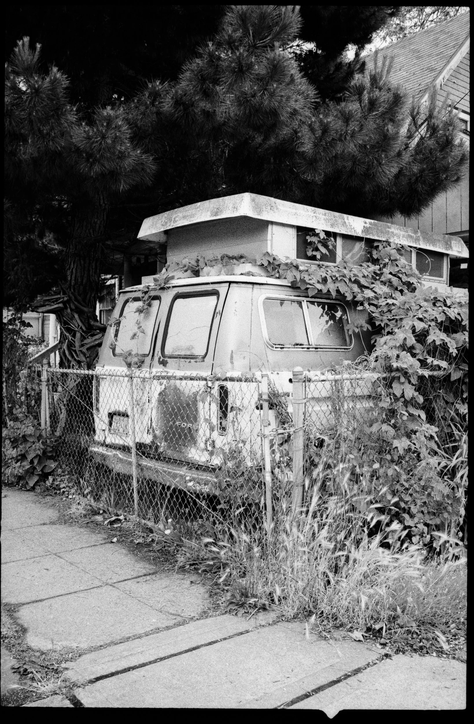 chris-daniels-creative-consulting-direction-strategy-nashville-art-potfolio-work-candid -film-photography-00075.jpg