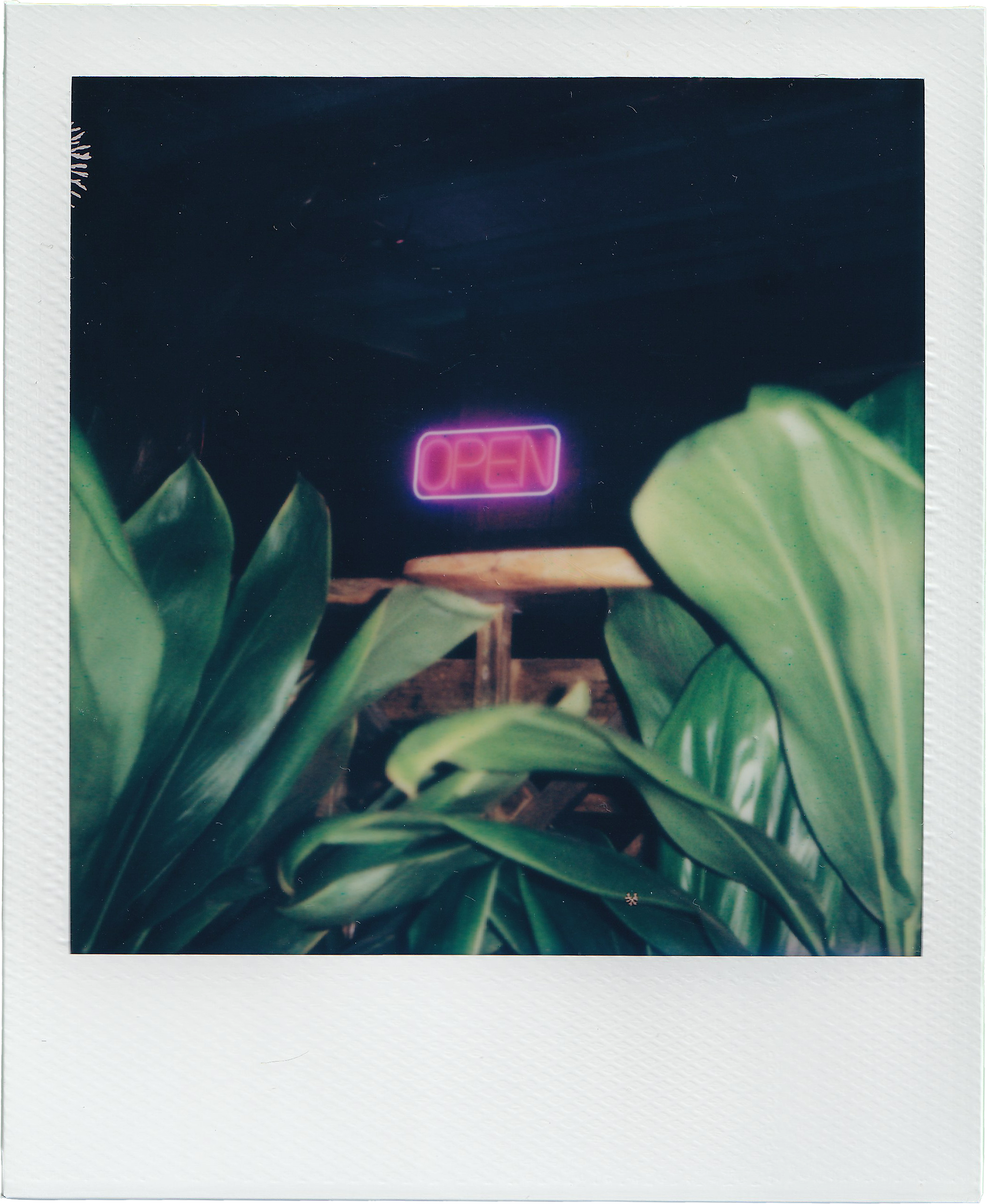 Polaroidjan-feb2024-77.png