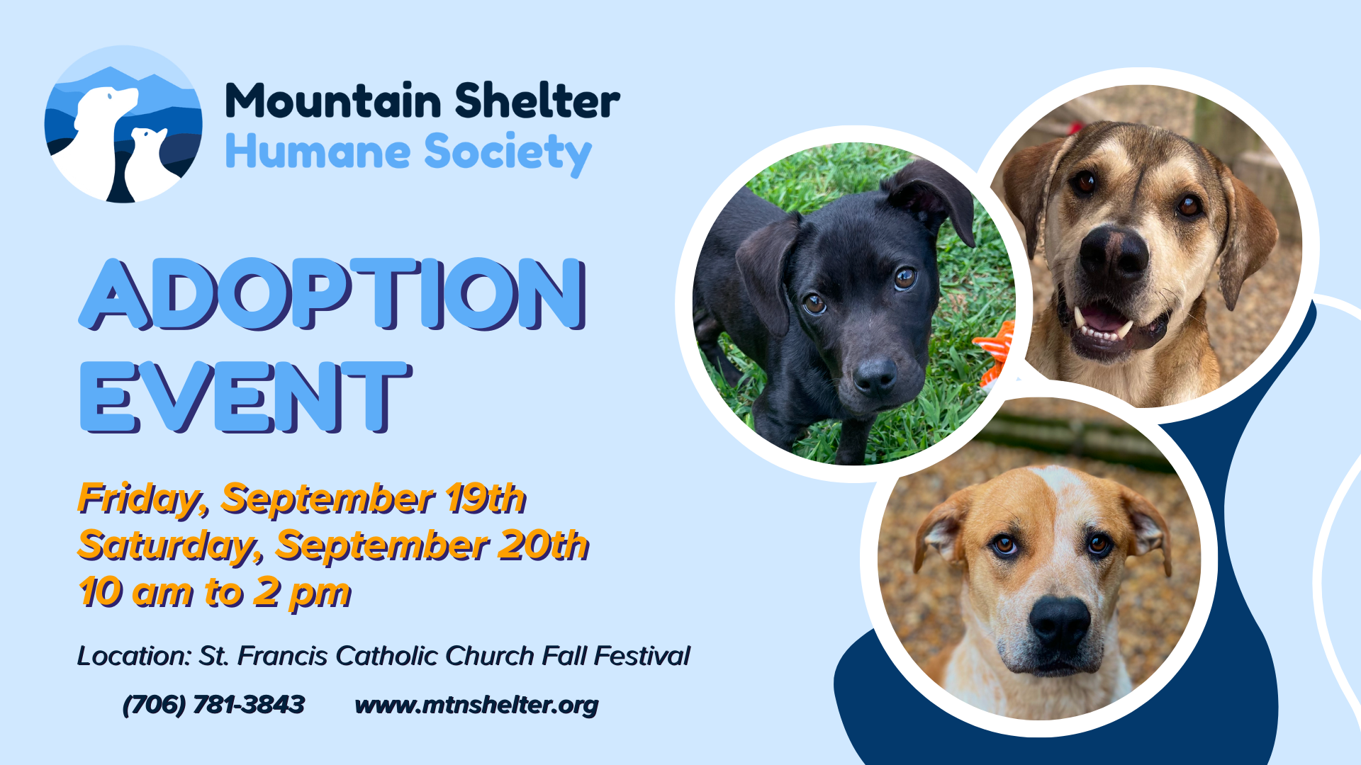 Adoption Event - St. Francis Catholic Church Fall Festival