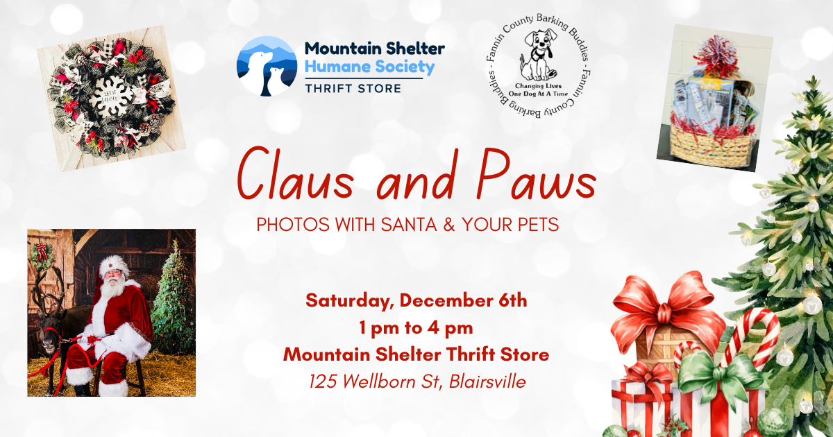 Claus and Paws