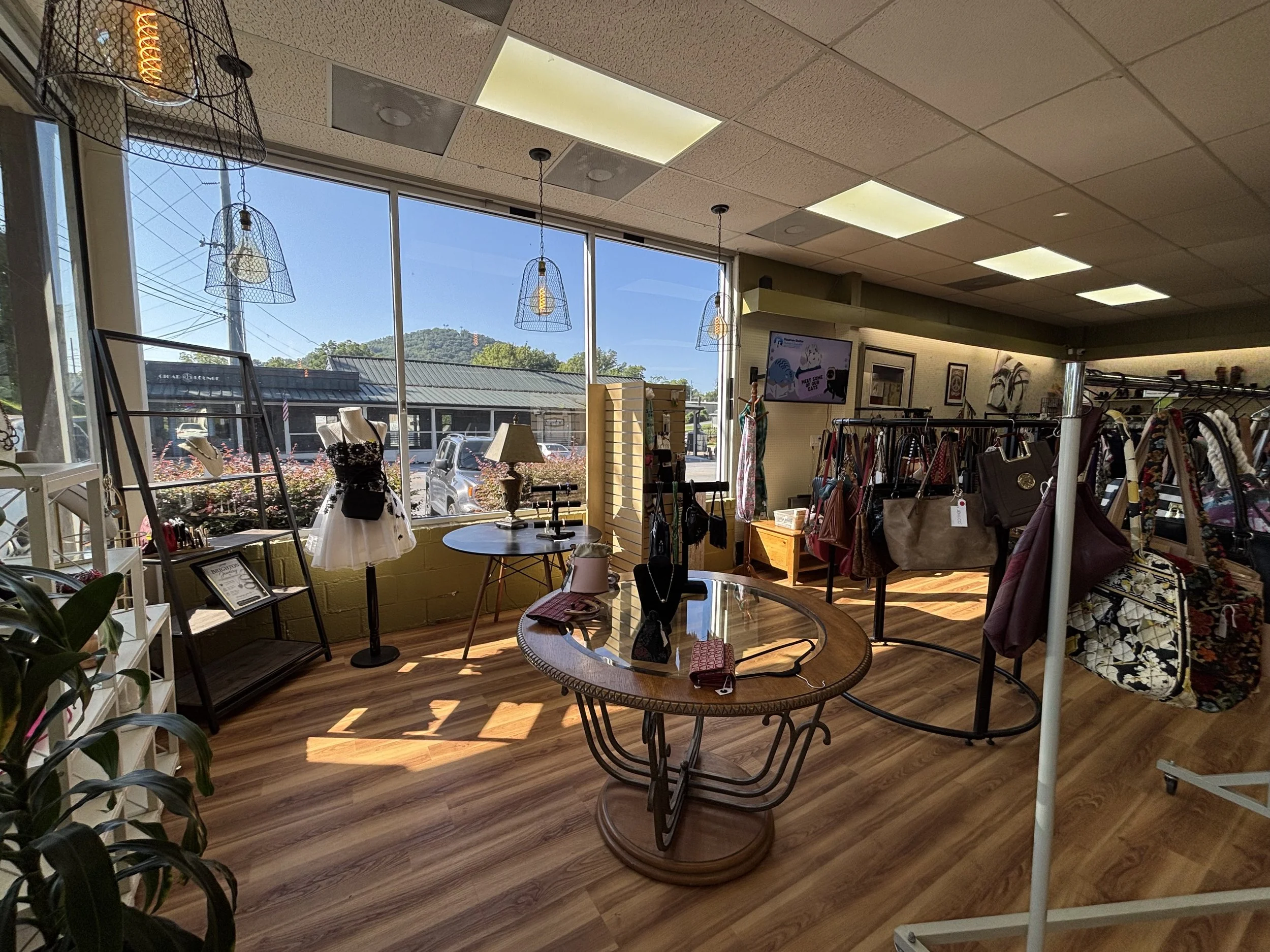 Interior of a boutique clothing store with mannequins, display racks, and a TV screen on the wall. Large windows let in natural light and show a parking lot and park outside.