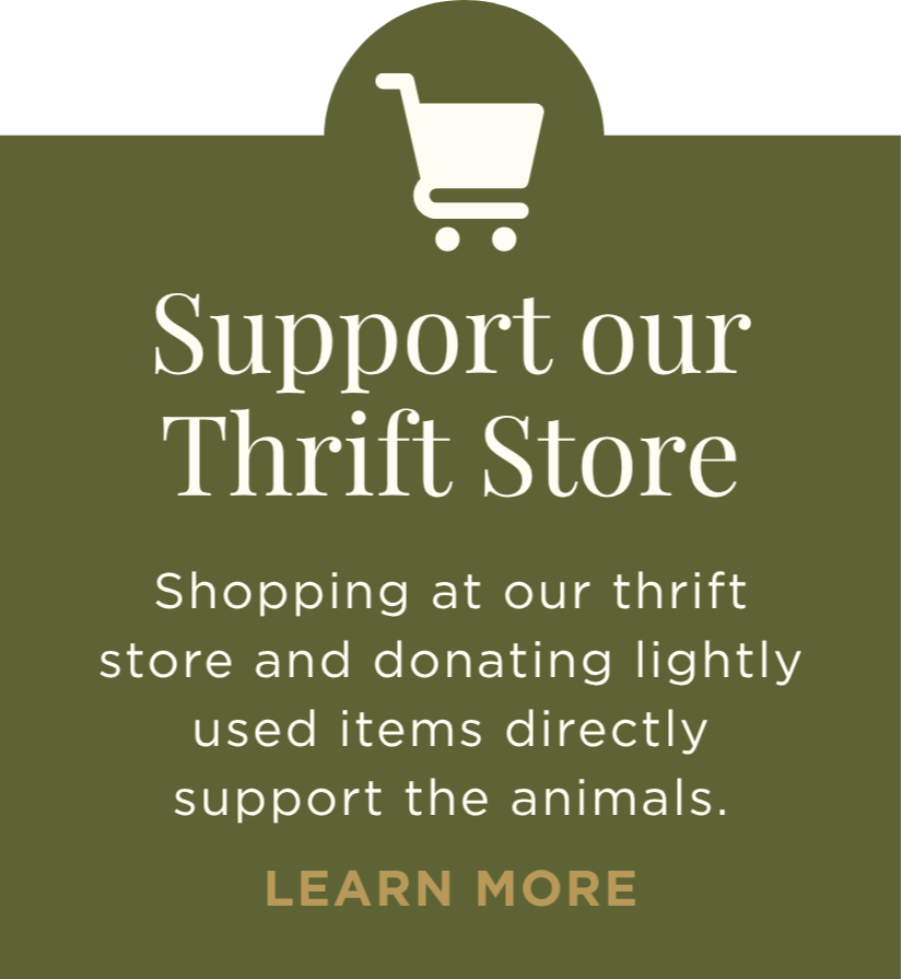Green informational sign with white text and a shopping cart icon at the top, encouraging support for a thrift store to help animals by shopping and donating lightly used items.
