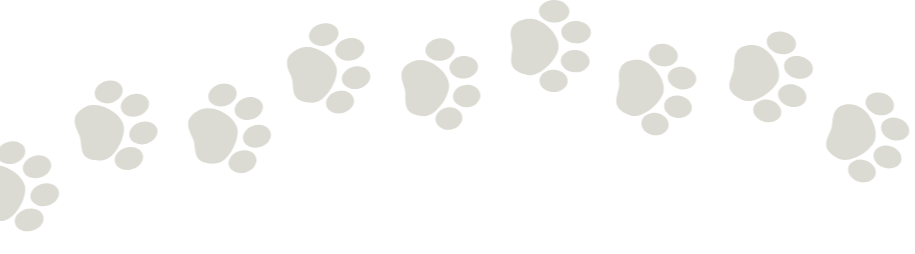 A series of paw prints in a trail pattern.