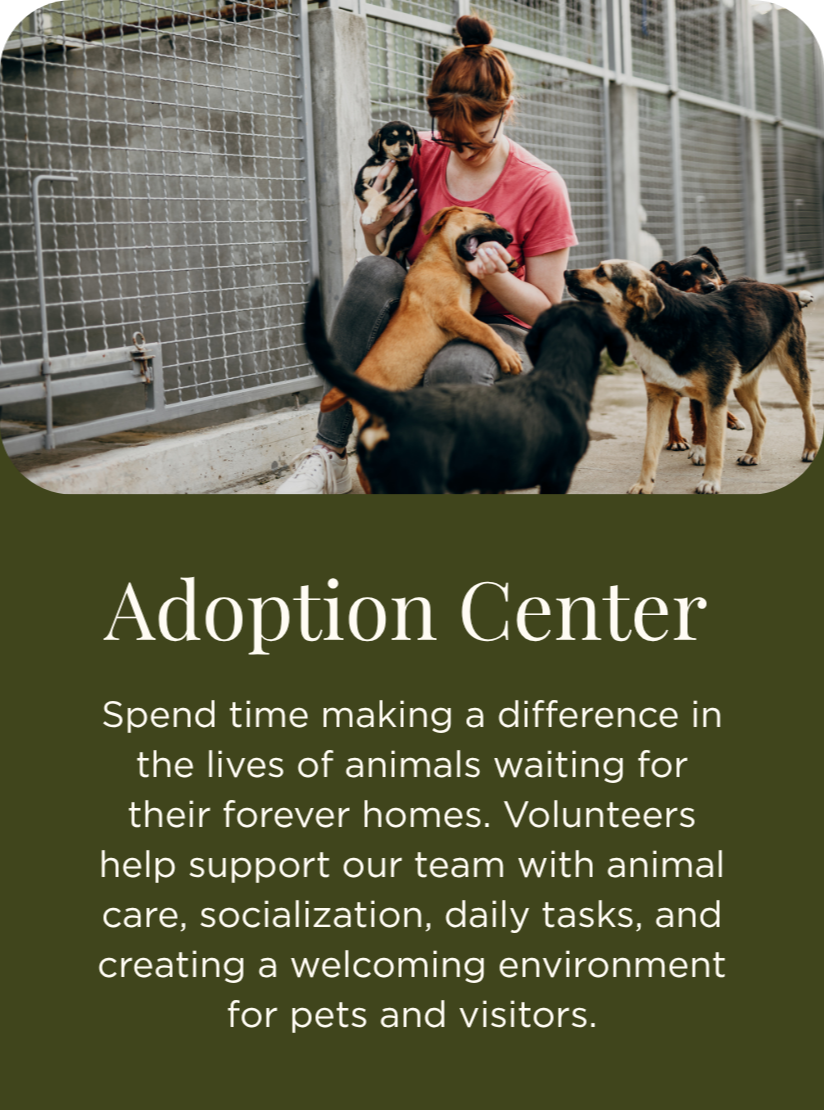 A woman with red hair, wearing glasses and a pink shirt, holding a small puppy while surrounded by larger dogs at an animal shelter or adoption center.