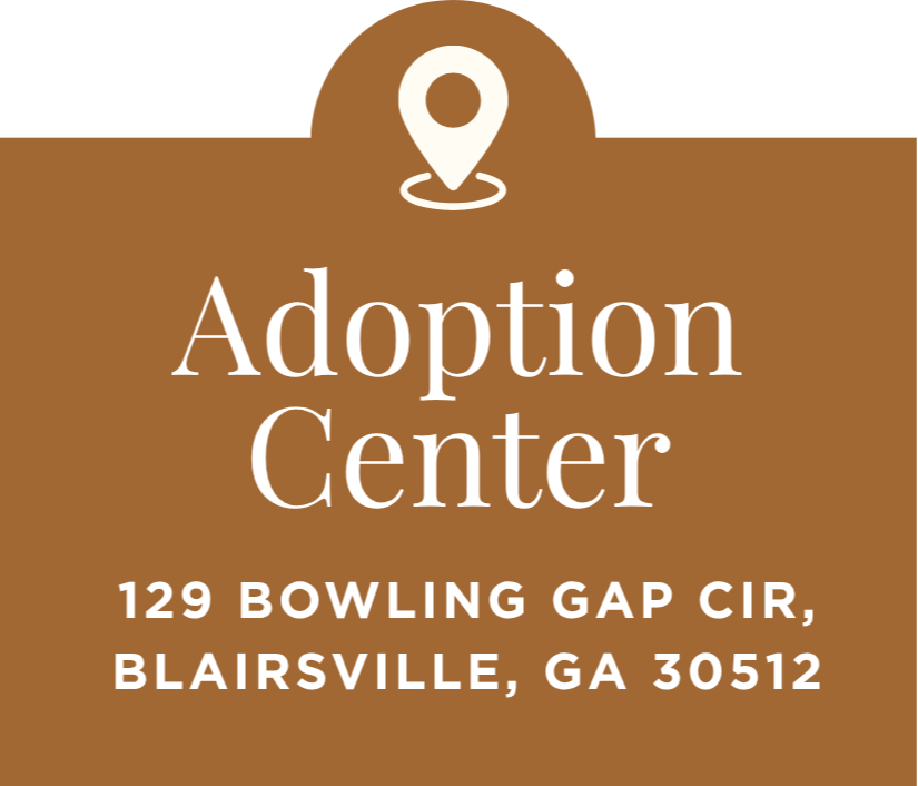 Sign for an Adoption Center at 129 Bowling Gap Circle, Blairsville, Georgia 30512, with a location pin icon overhead.
