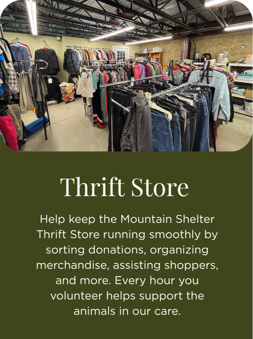 Interior of a thrift store with clothing racks filled with various apparel, including pants, shirts, and jackets, organizing merchandise for sale.