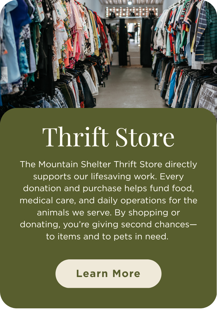 Interior of a thrift store with clothing racks on both sides and a hallway leading to the back.