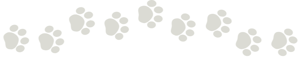 A trail of dark green paw prints on a black background.