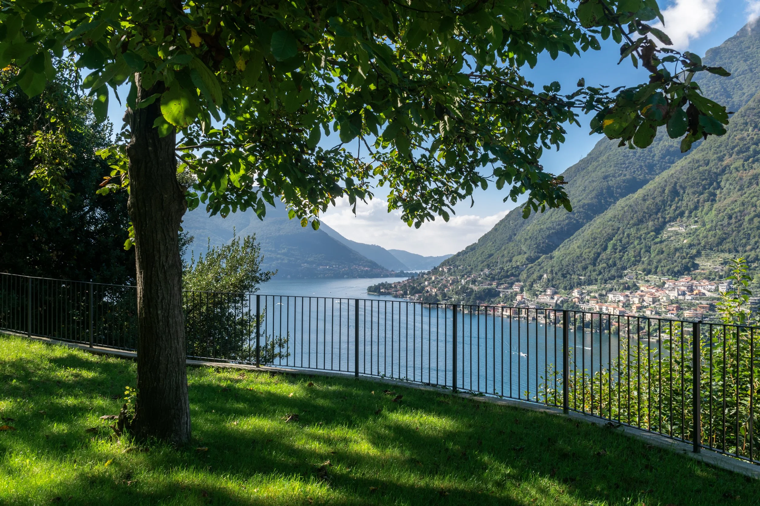 Vista panoramica sul lago di Como da un giardino verde con albero e recinzione in ferro battuto.