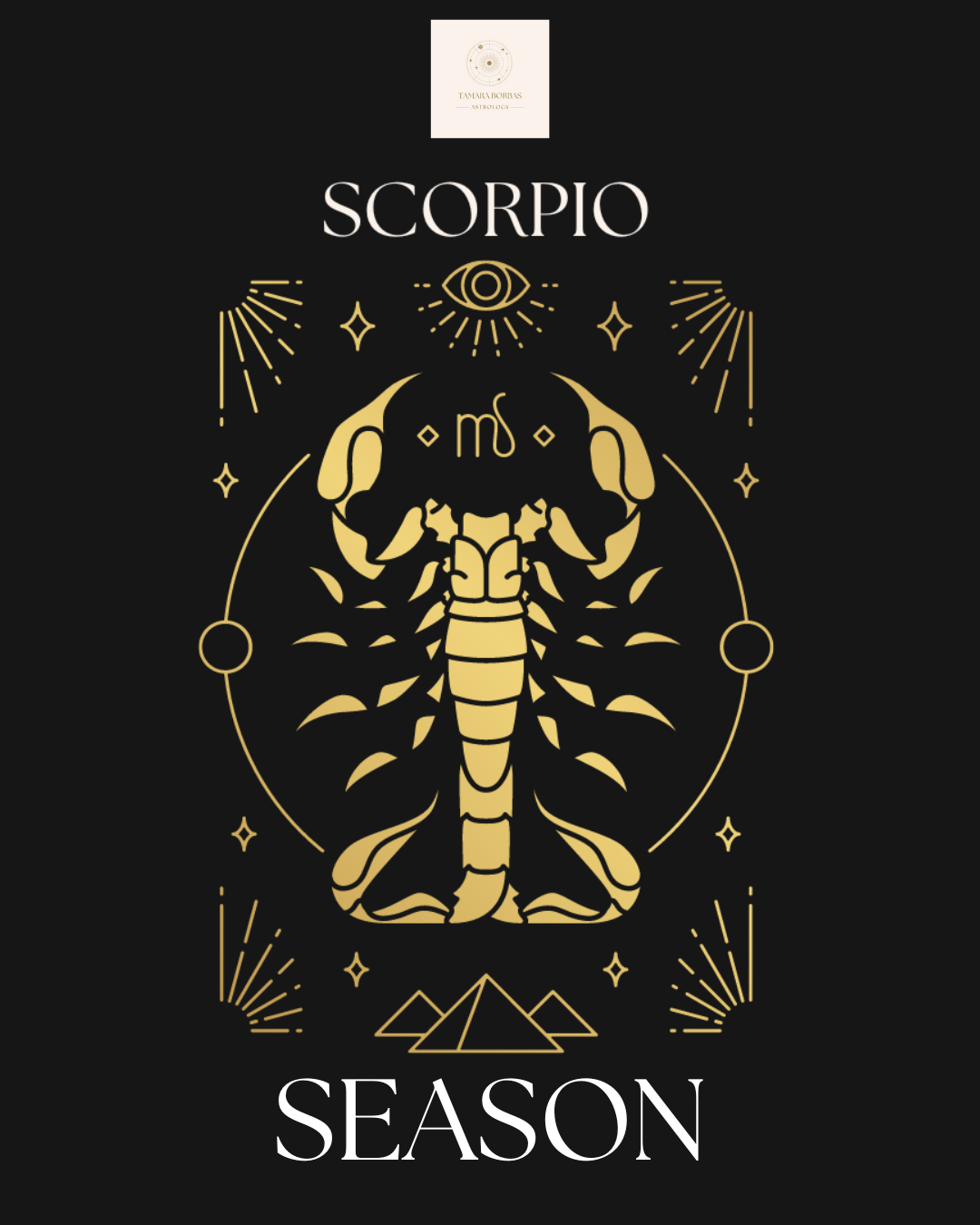 Blog Post Fourteen: Scorpio Season 2025