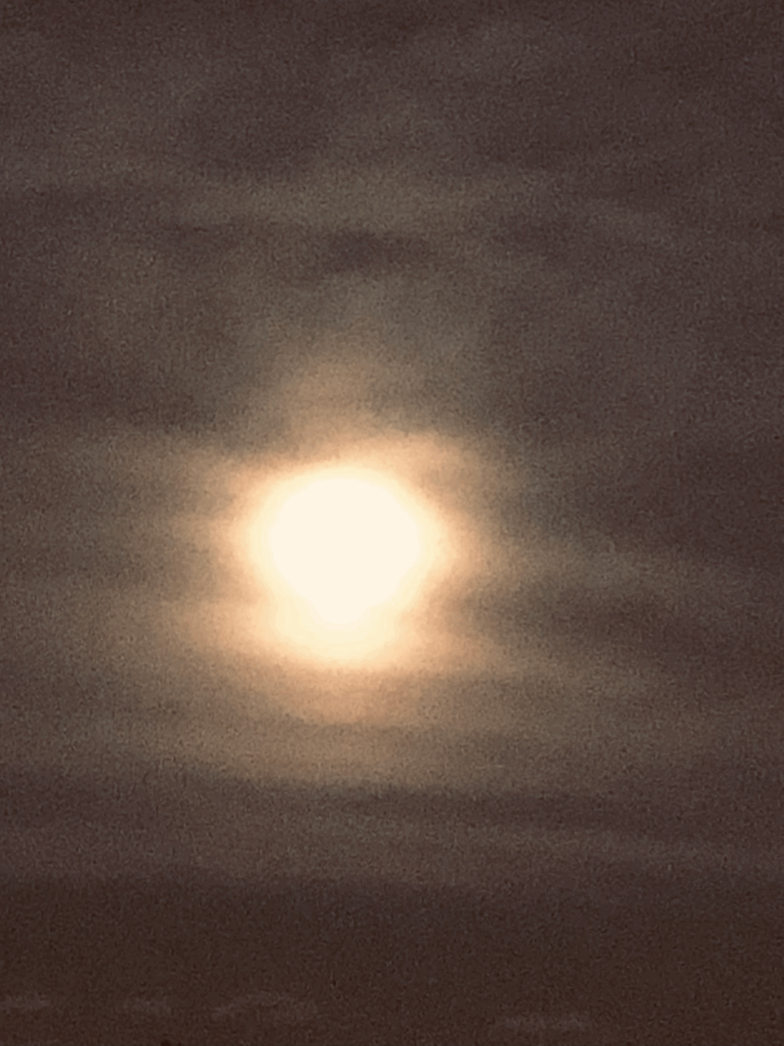 Blog Post Fifteen: Taurus Full Moon 2025