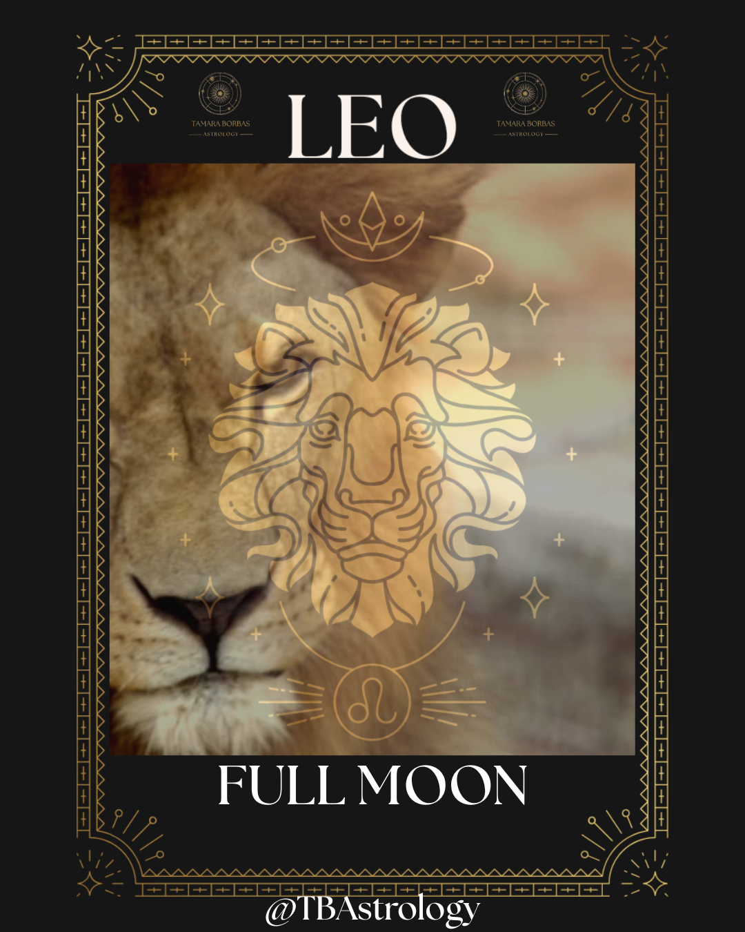 Blog Post Twenty-Three: Leo Full Moon 2026