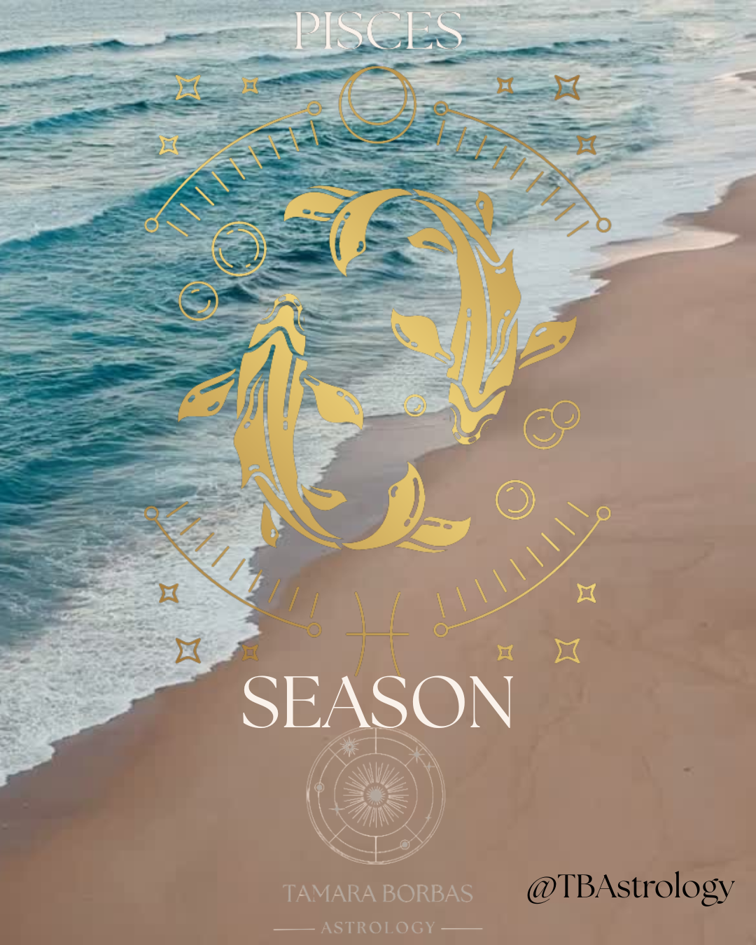 Blog Post Twenty-Six: Pisces Season 2026