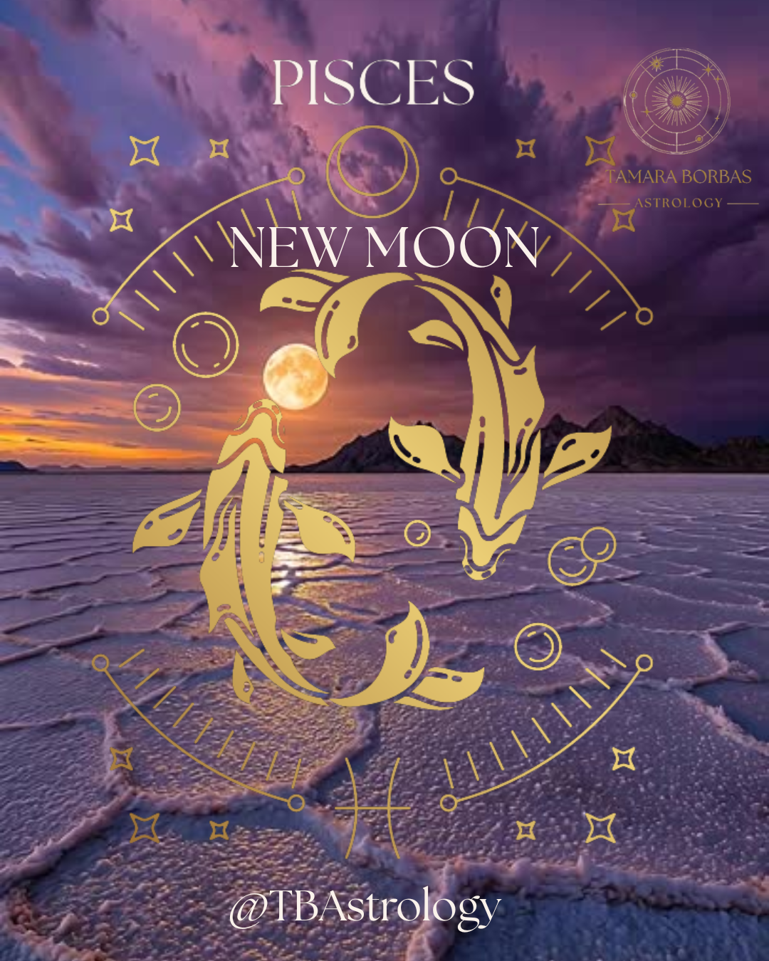 Blog Post Twenty-Nine: Pisces New Moon 2026