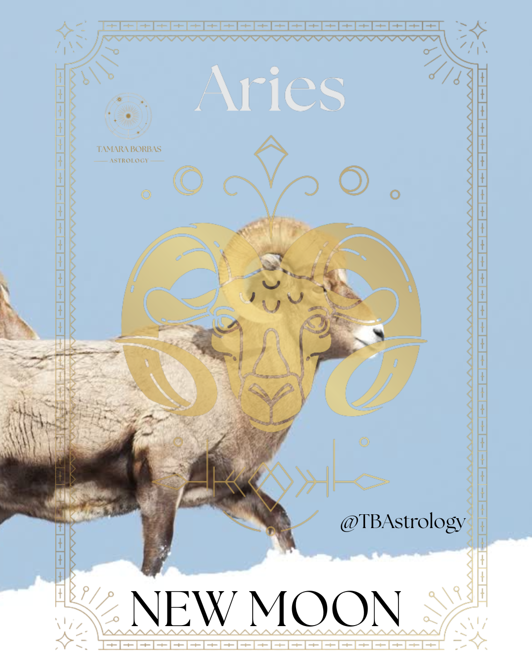 Blog Post Thirty-Two: Aries New Moon 2026