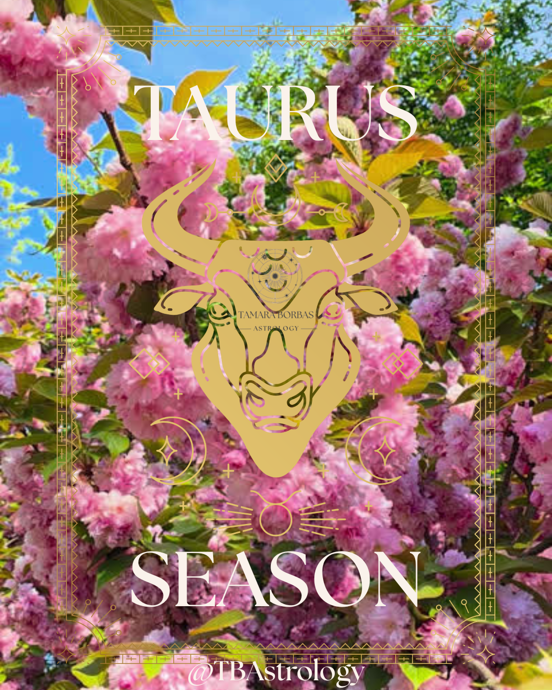 Blog Post Thirty-Three: Taurus Season 2026