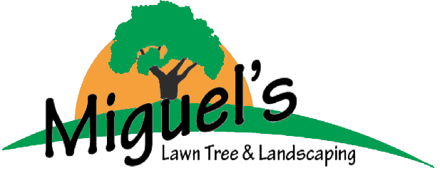 Miguel&#39;s Lawn, Tree, &amp; Landscaping