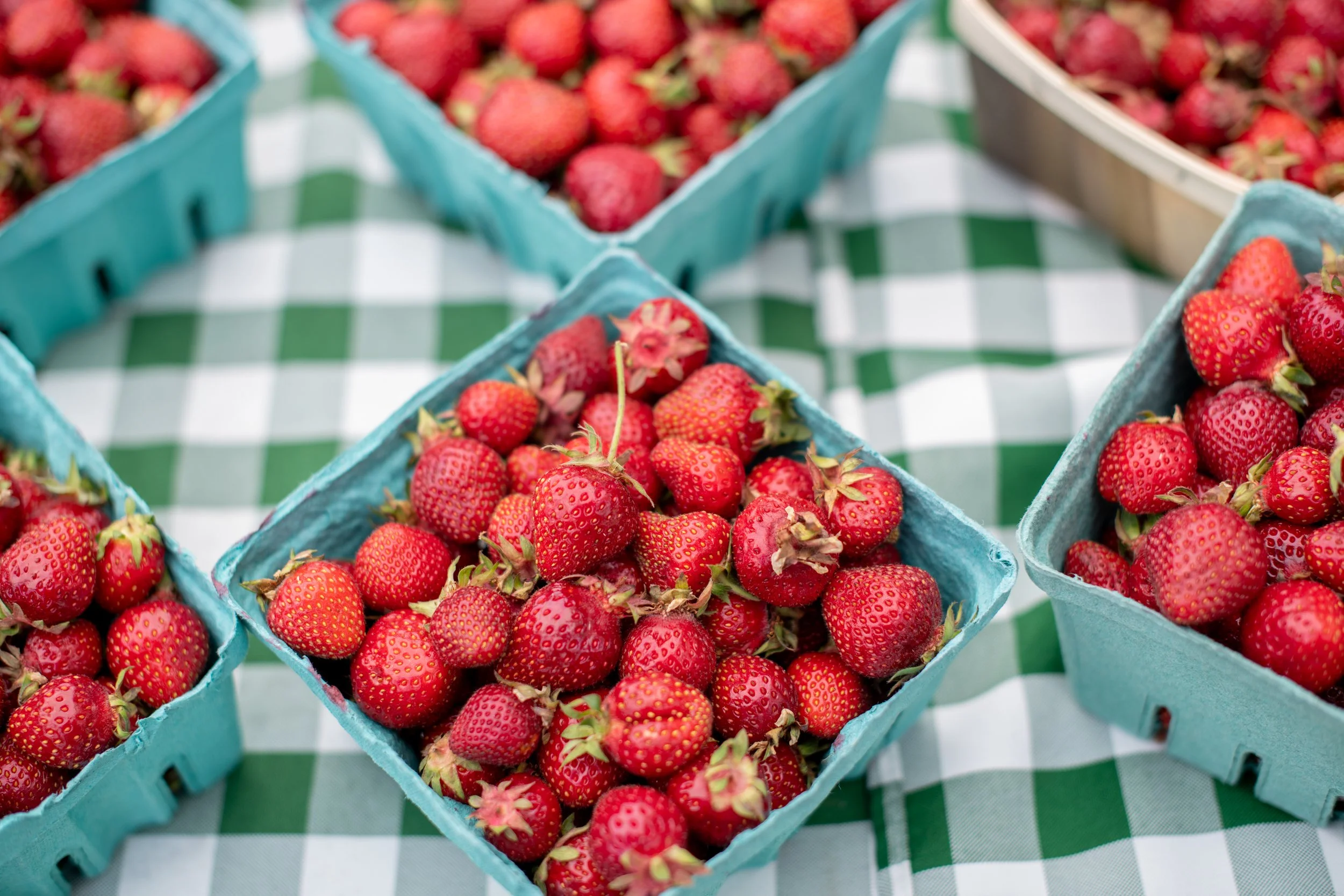 North Union Farmers Market