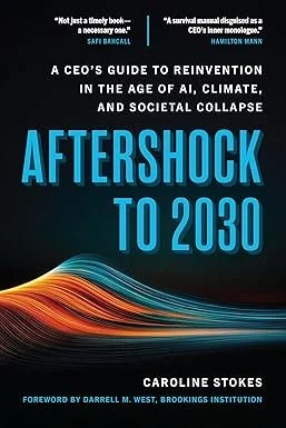 Aftershock to 2030 by Caroline Stokes
