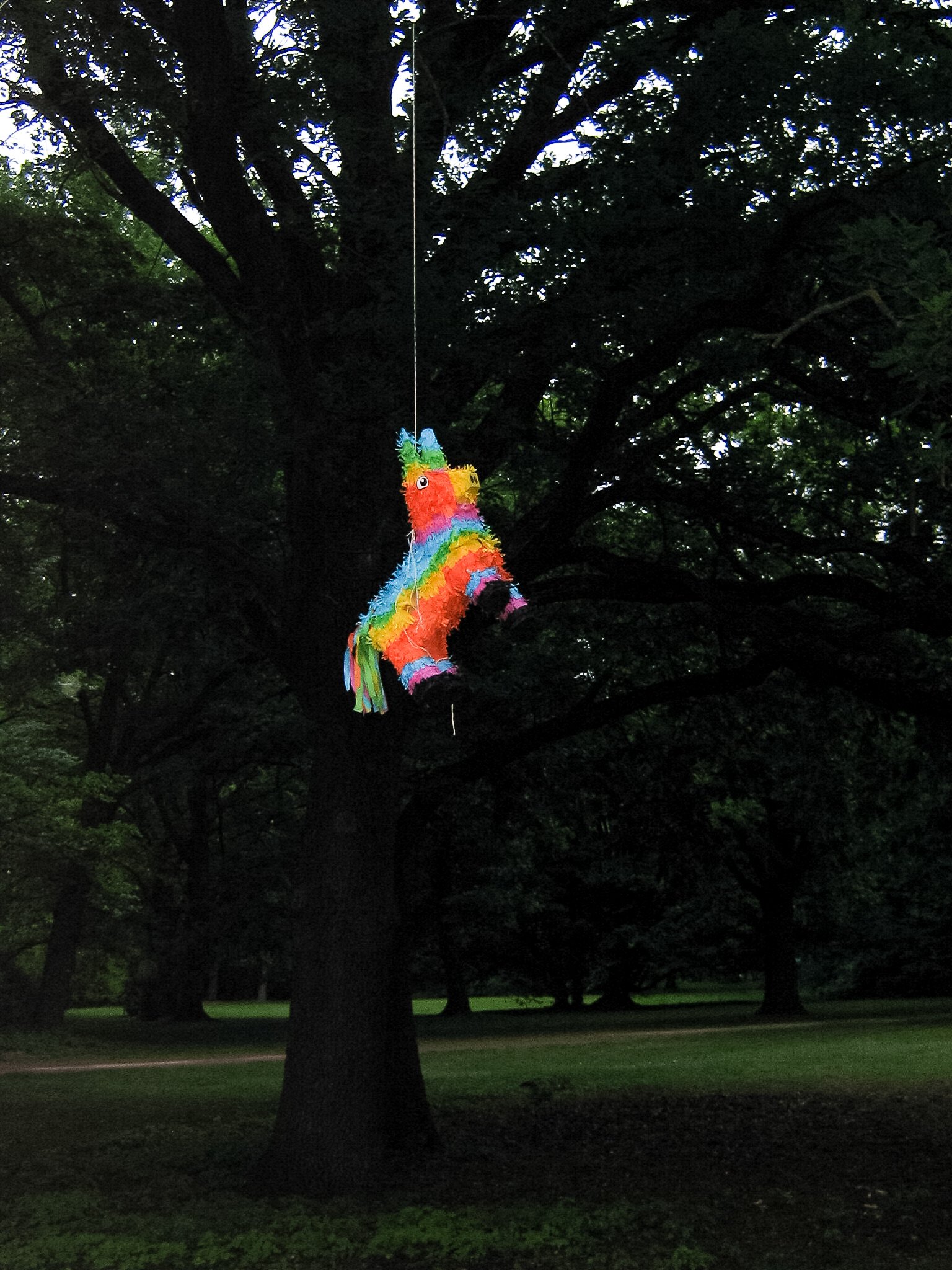 IMG_0047 - Susi Domenge.JPG